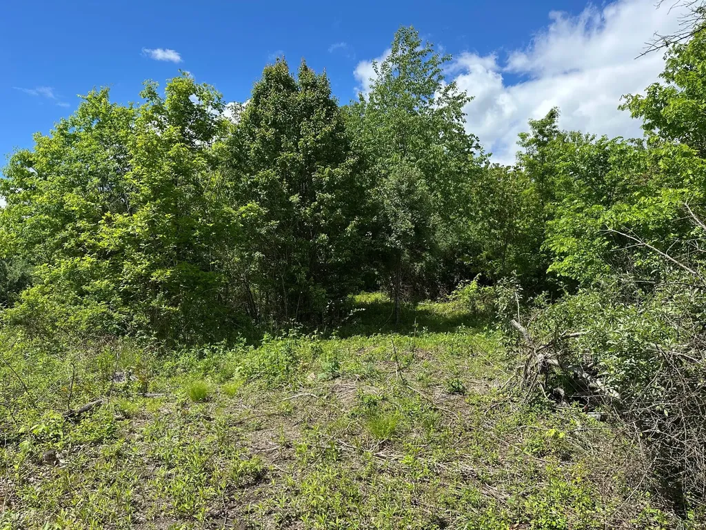 150 Sycamore Creek Road Van Lear KY 41265
