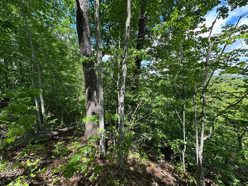 150 Sycamore Creek Road Van Lear KY 41265