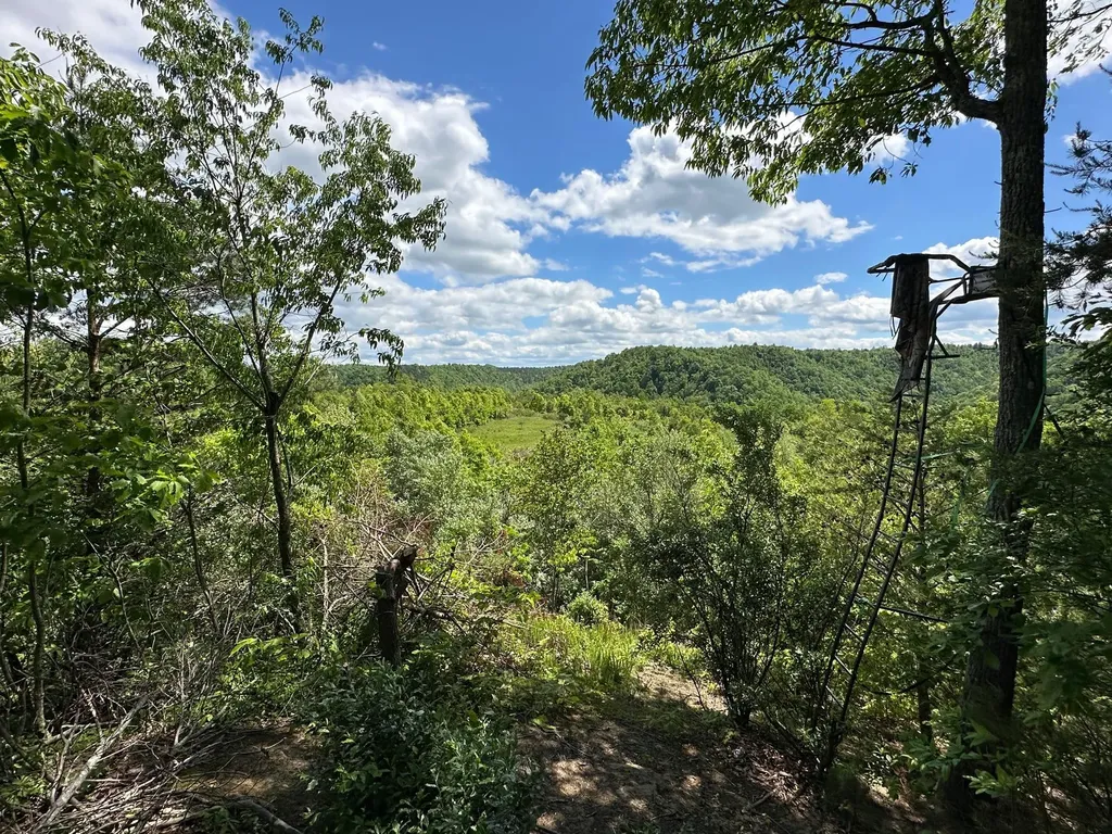 150 Sycamore Creek Road Van Lear KY 41265