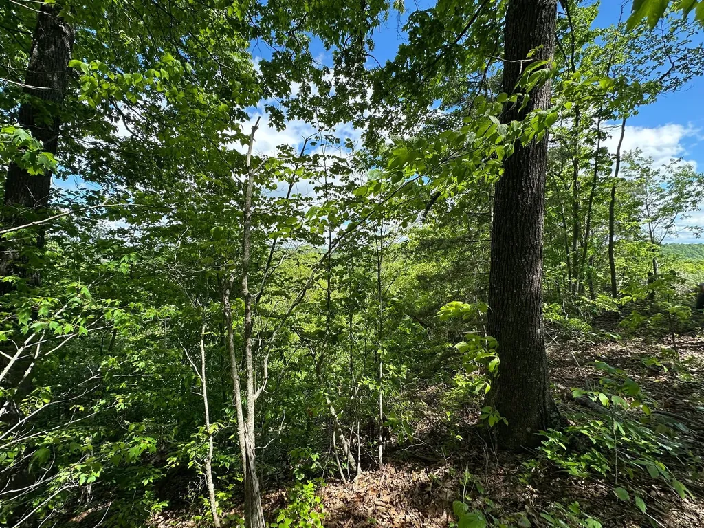 150 Sycamore Creek Road Van Lear KY 41265