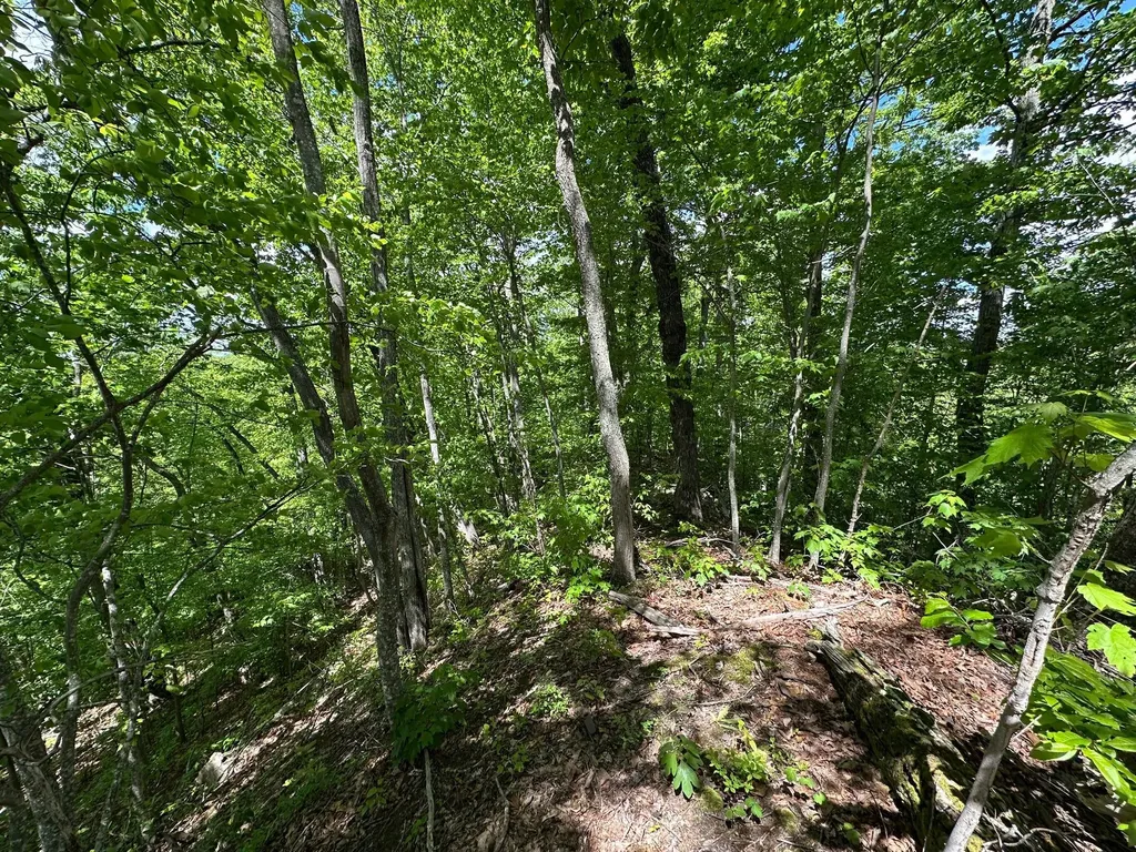 150 Sycamore Creek Road Van Lear KY 41265