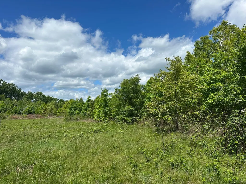 150 Sycamore Creek Road Van Lear KY 41265