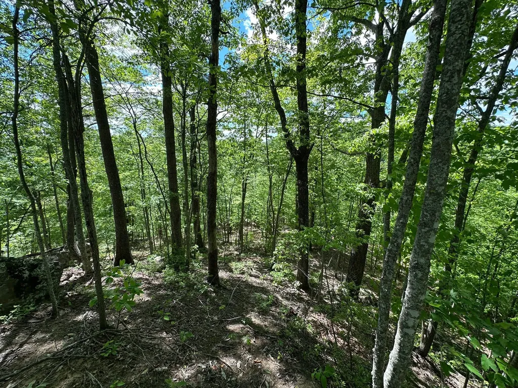 150 Sycamore Creek Road Van Lear KY 41265
