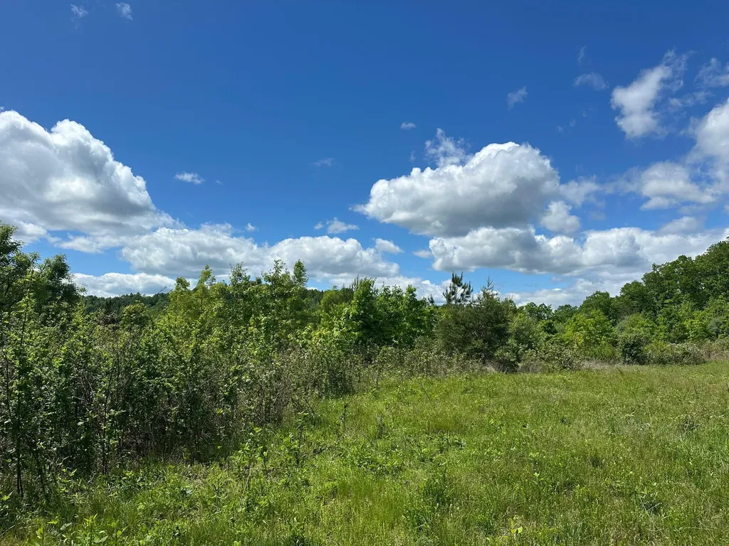 150 Sycamore Creek Road Van Lear KY 41265