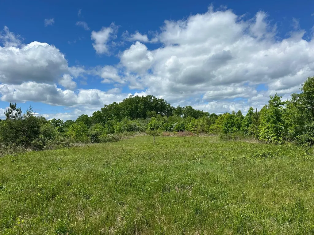 150 Sycamore Creek Road Van Lear KY 41265