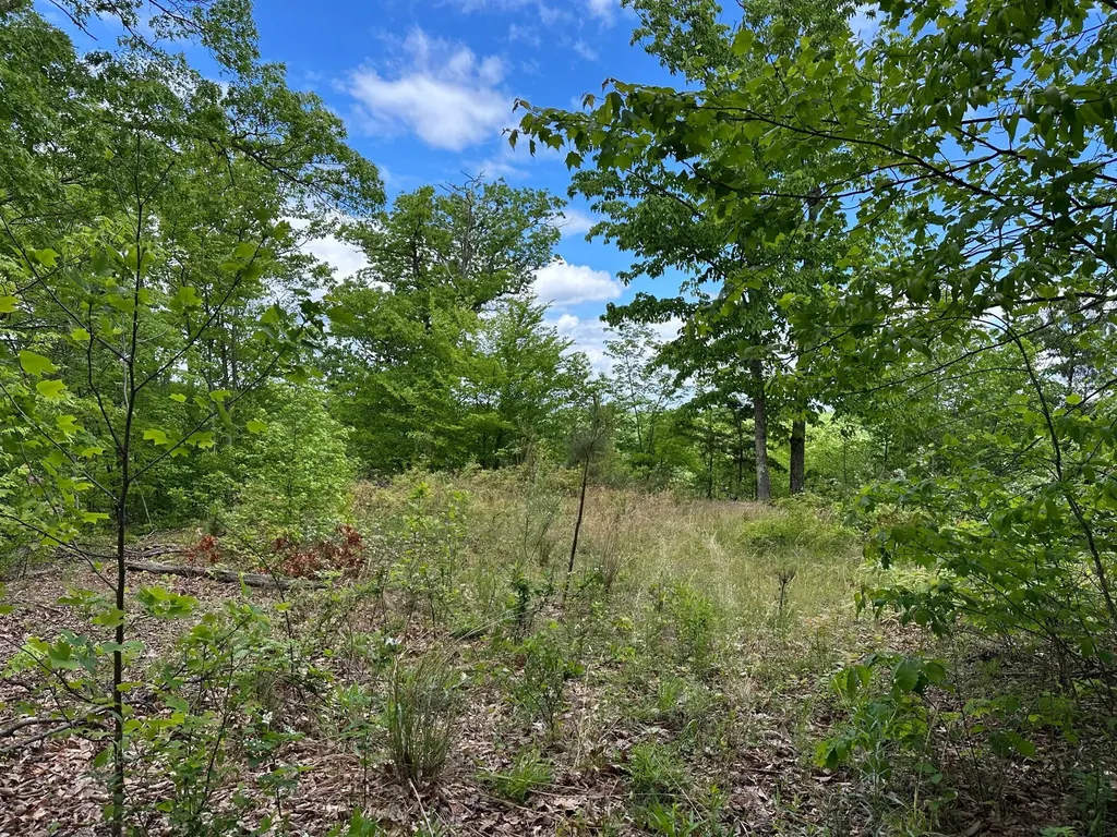 150 Sycamore Creek Road Van Lear KY 41265
