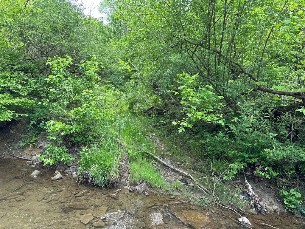 150 Sycamore Creek Road Van Lear KY 41265