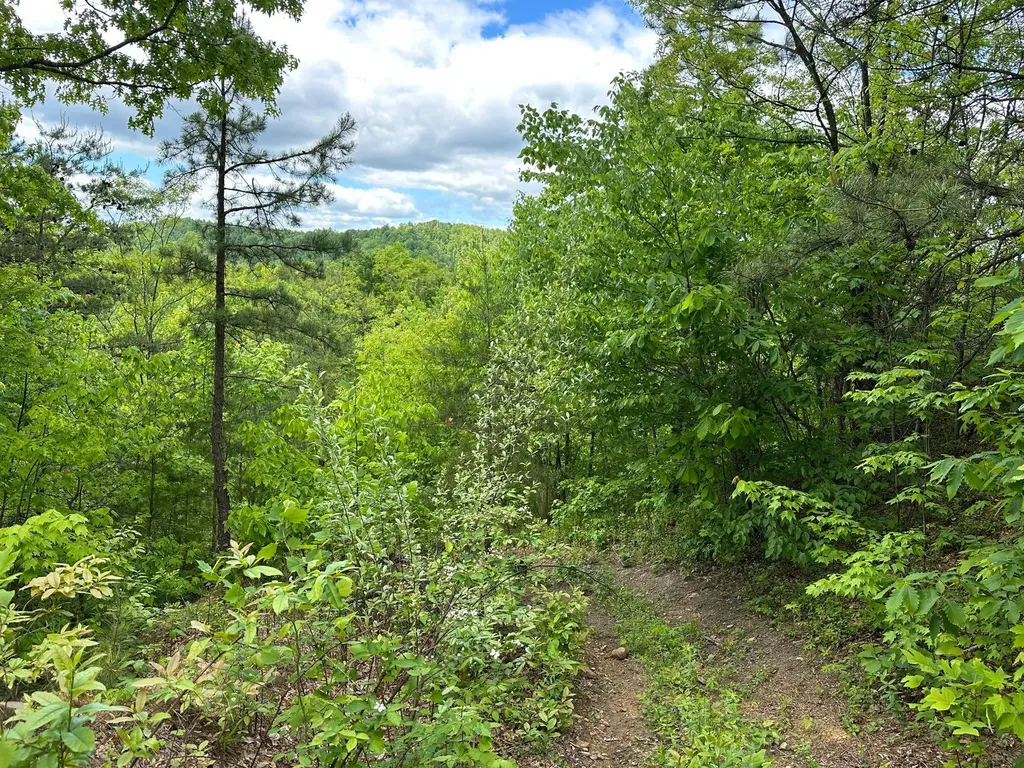 150 Sycamore Creek Road Van Lear KY 41265