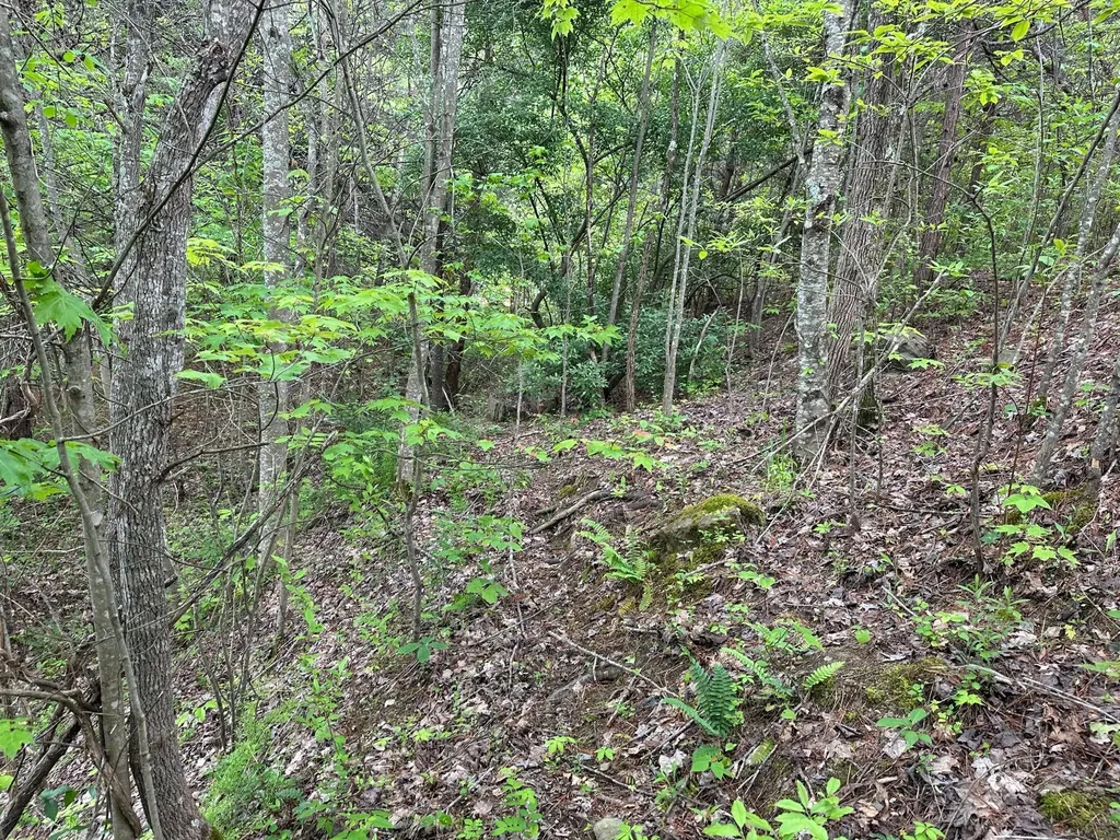 150 Sycamore Creek Road Van Lear KY 41265