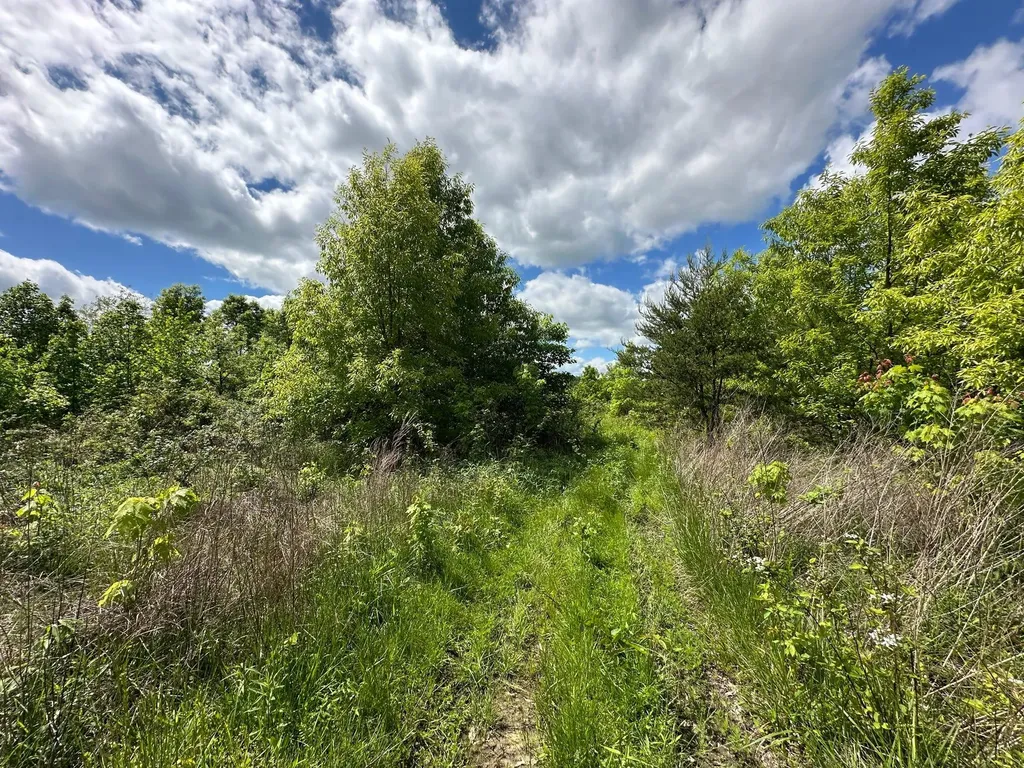 150 Sycamore Creek Road Van Lear KY 41265