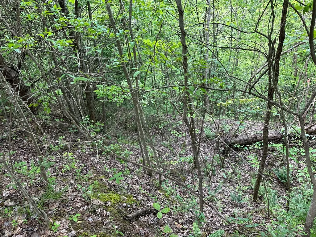 150 Sycamore Creek Road Van Lear KY 41265