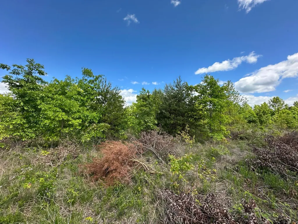 150 Sycamore Creek Road Van Lear KY 41265