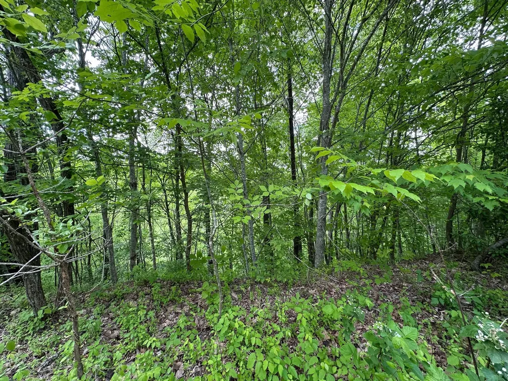 150 Sycamore Creek Road Van Lear KY 41265