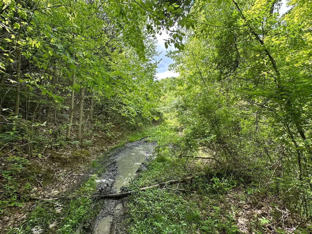150 Sycamore Creek Road Van Lear KY 41265