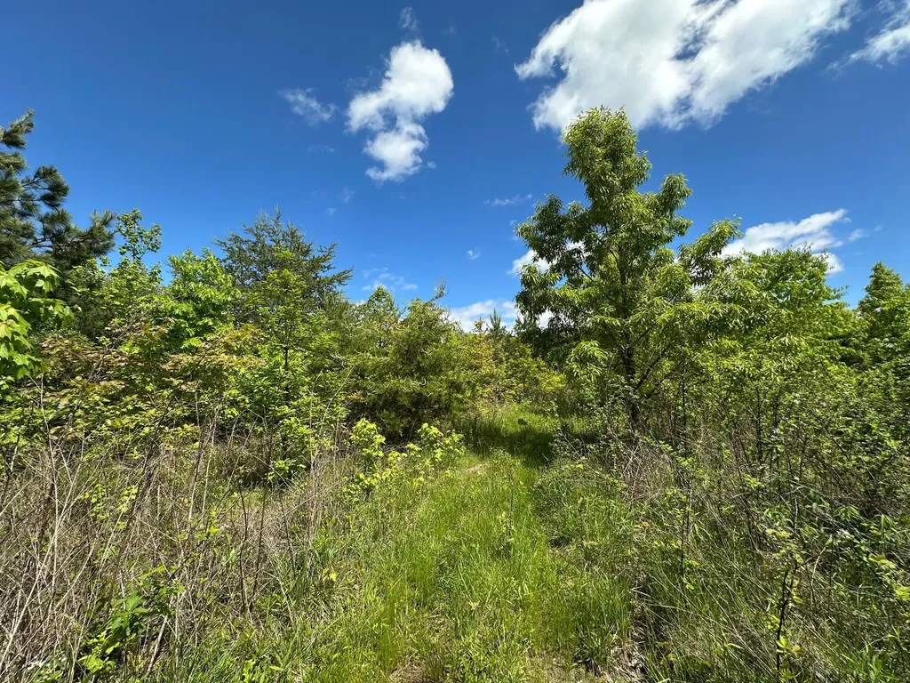 150 Sycamore Creek Road Van Lear KY 41265