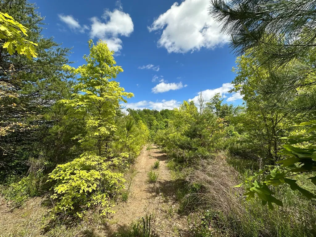 150 Sycamore Creek Road Van Lear KY 41265