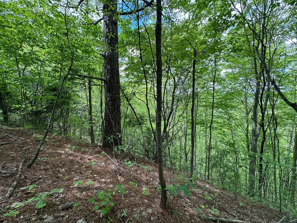 150 Sycamore Creek Road Van Lear KY 41265