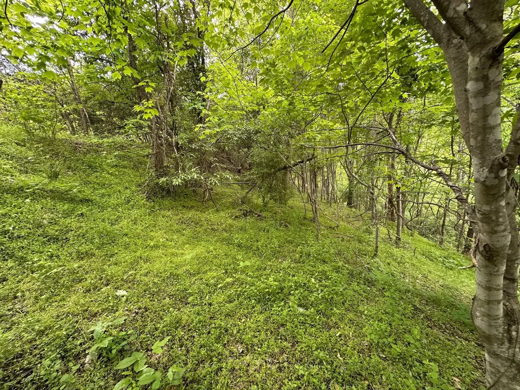 150 Sycamore Creek Road Van Lear KY 41265