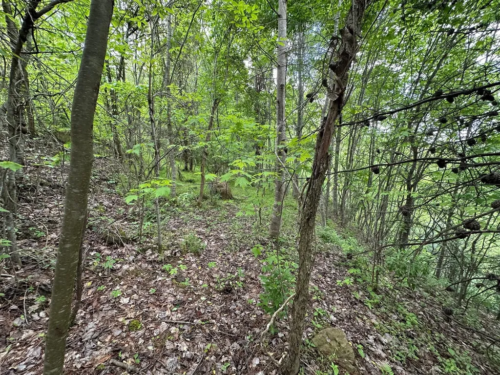 150 Sycamore Creek Road Van Lear KY 41265
