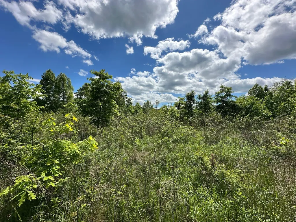 150 Sycamore Creek Road Van Lear KY 41265