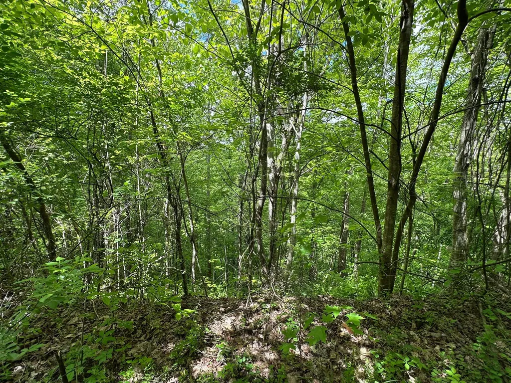 150 Sycamore Creek Road Van Lear KY 41265