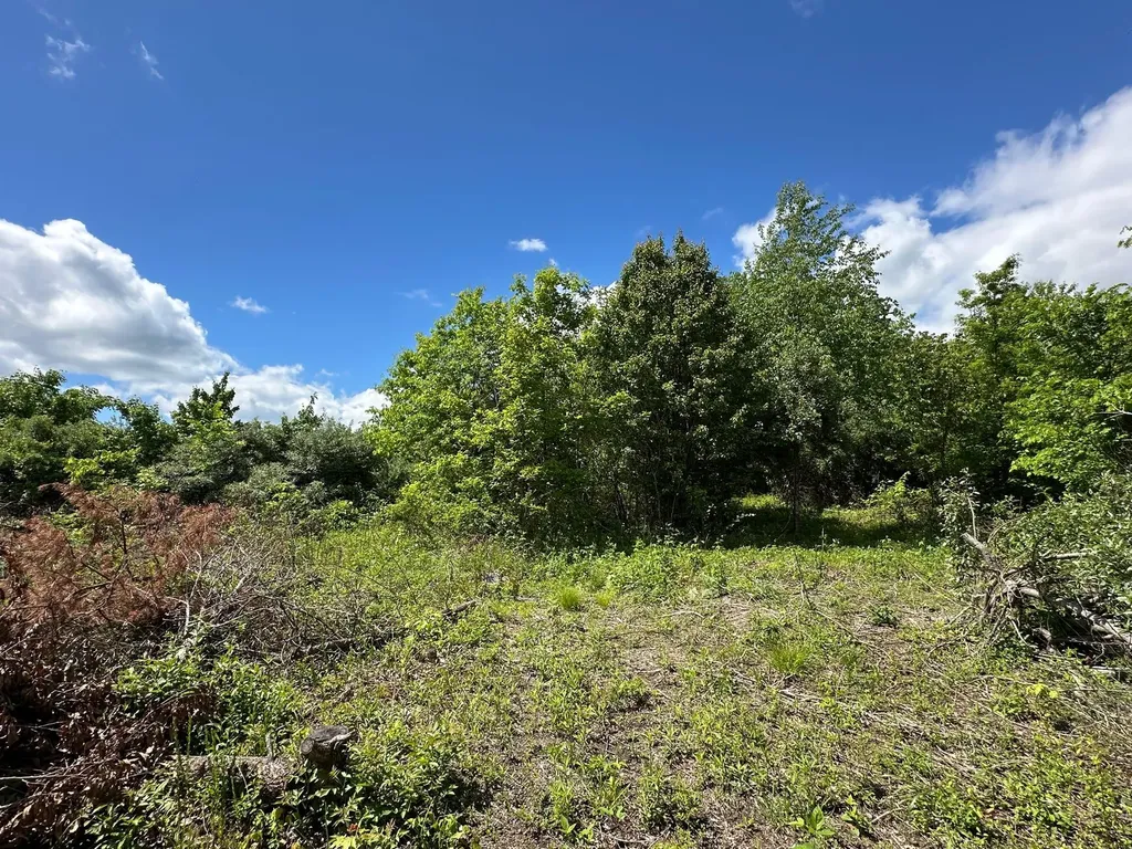 150 Sycamore Creek Road Van Lear KY 41265