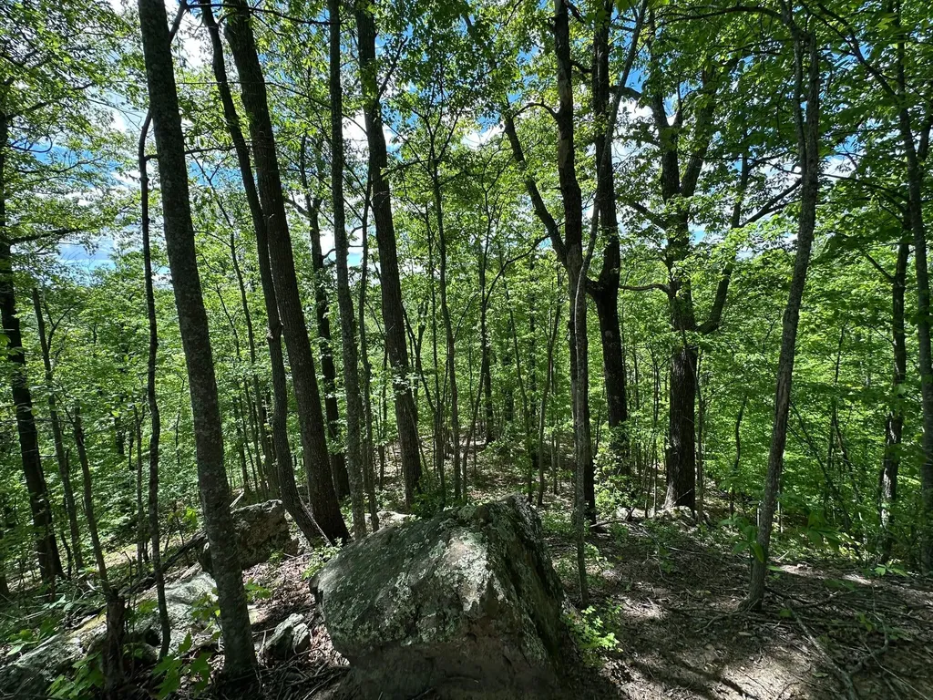 150 Sycamore Creek Road Van Lear KY 41265