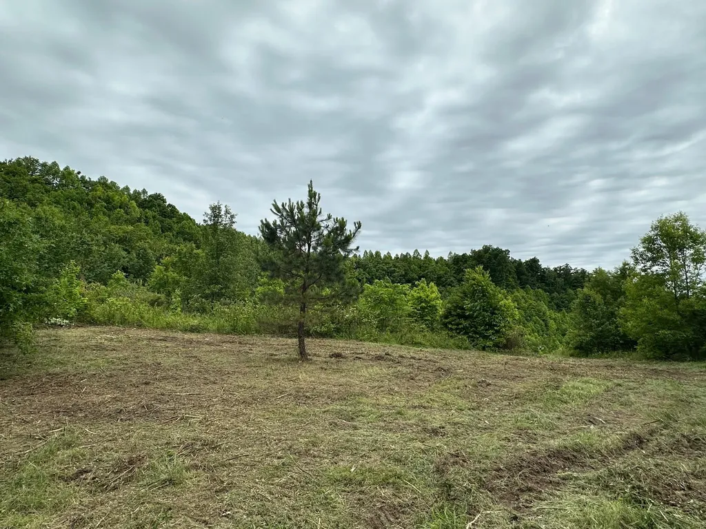 150 Sycamore Creek Road Van Lear KY 41265