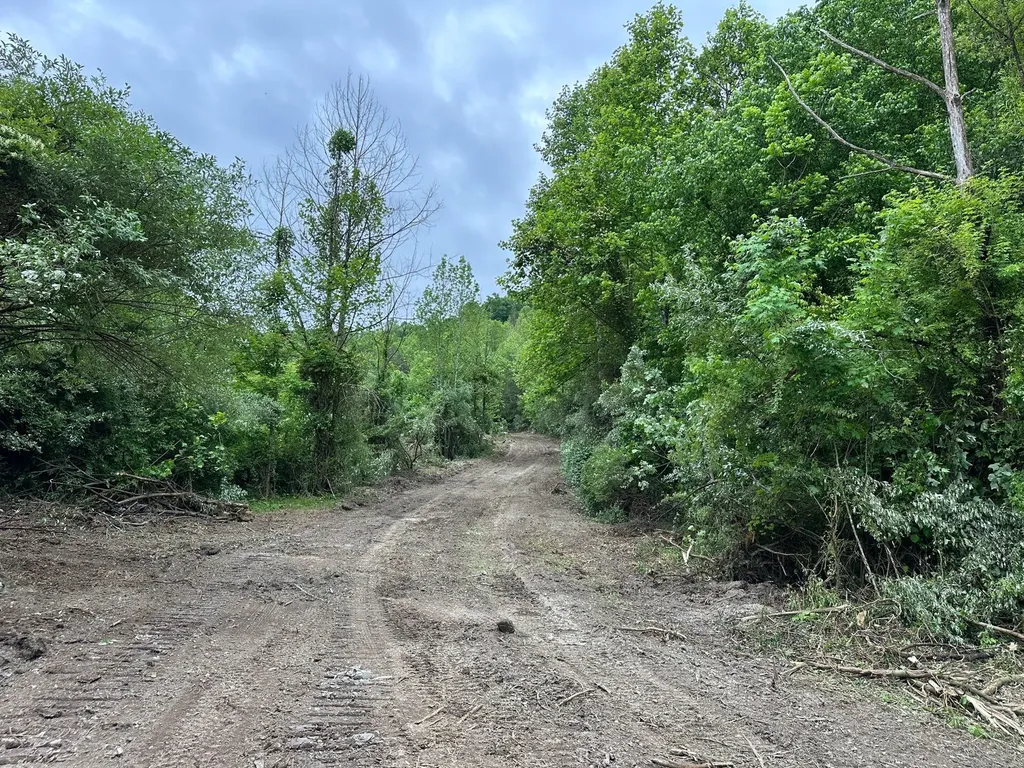 150 Sycamore Creek Road Van Lear KY 41265