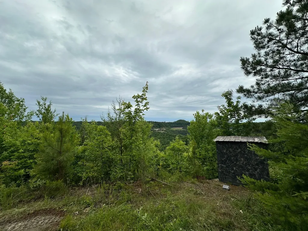 150 Sycamore Creek Road Van Lear KY 41265