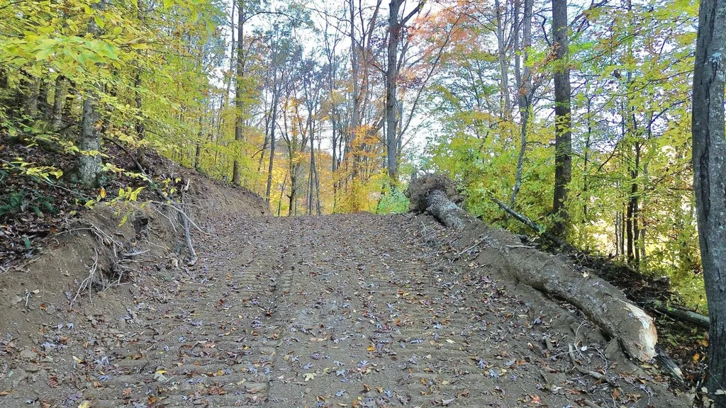 150 Sycamore Creek Road Van Lear KY 41265