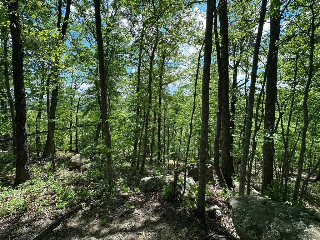 150 Sycamore Creek Road Van Lear KY 41265