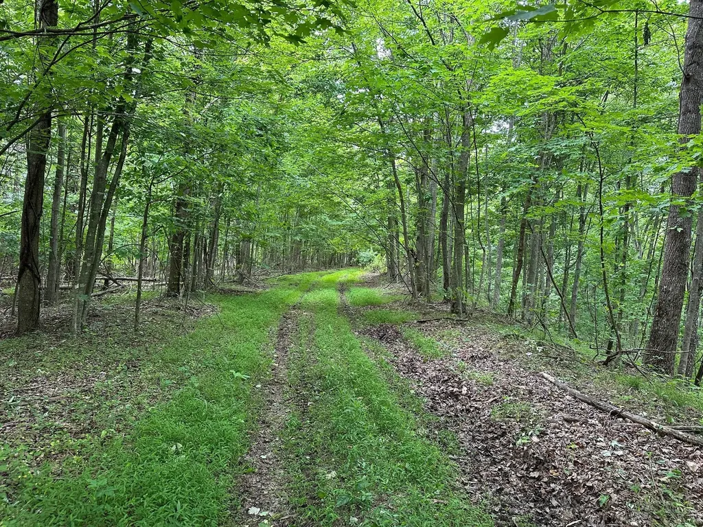 150 Sycamore Creek Road Van Lear KY 41265