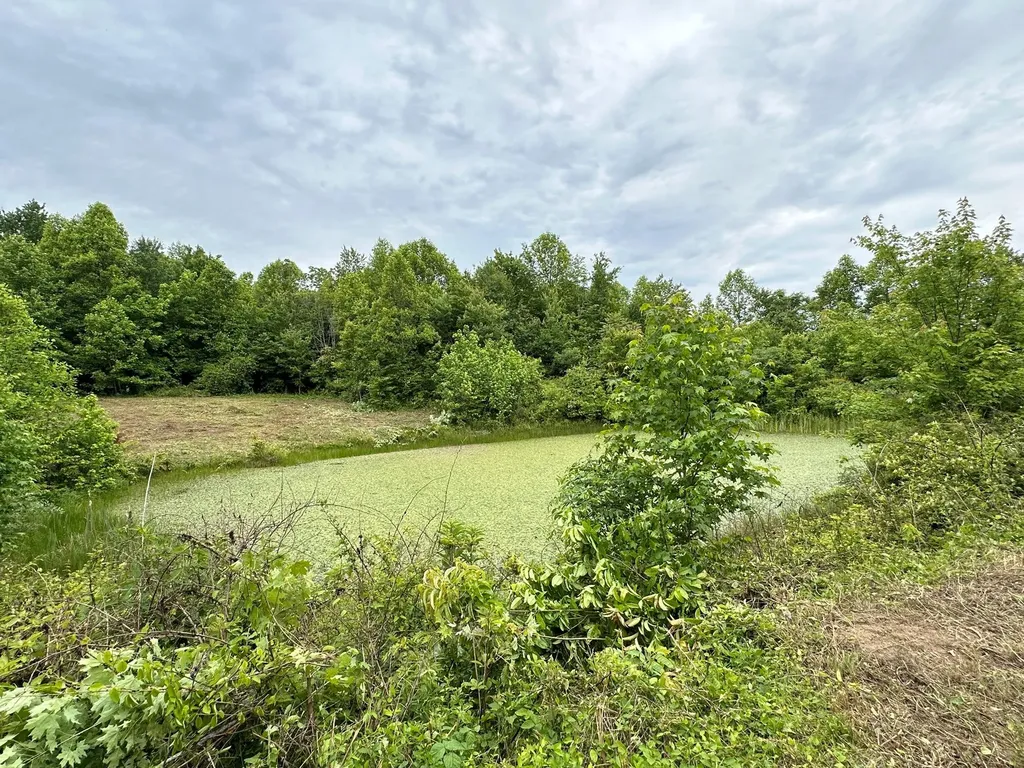 150 Sycamore Creek Road Van Lear KY 41265