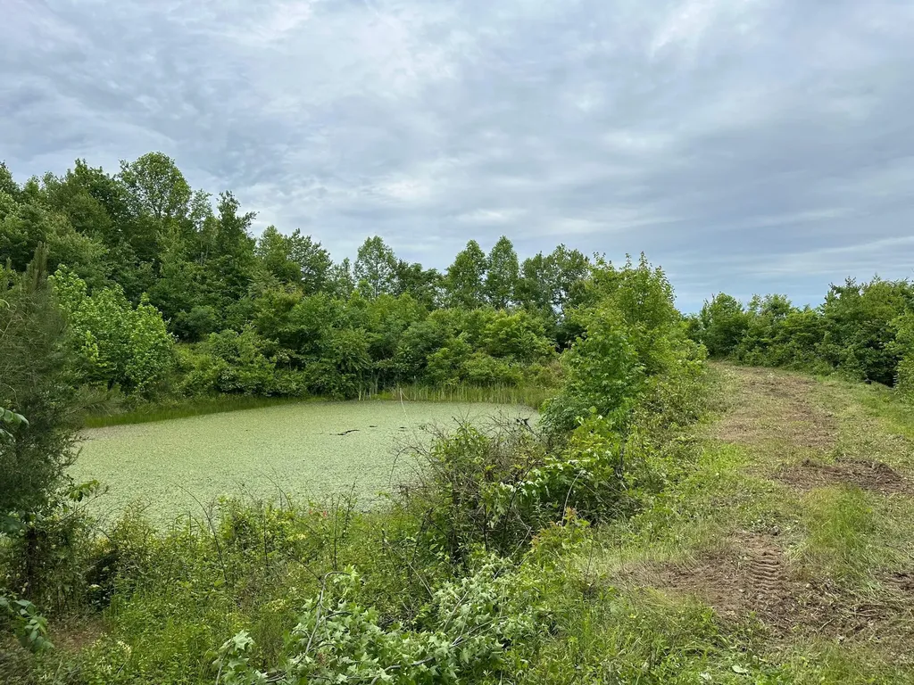 150 Sycamore Creek Road Van Lear KY 41265