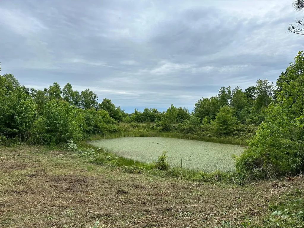 150 Sycamore Creek Road Van Lear KY 41265