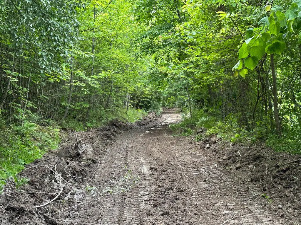 150 Sycamore Creek Road Van Lear KY 41265
