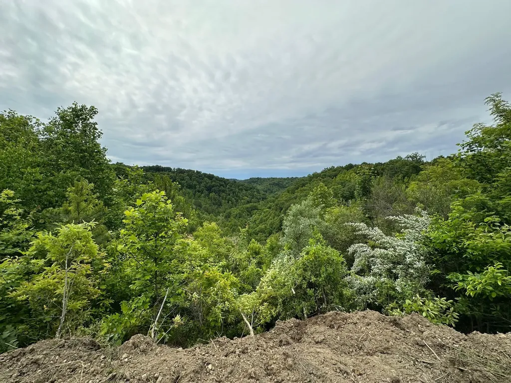 150 Sycamore Creek Road Van Lear KY 41265