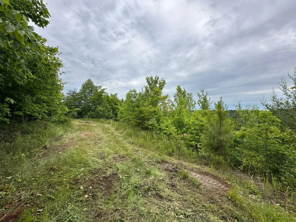150 Sycamore Creek Road Van Lear KY 41265
