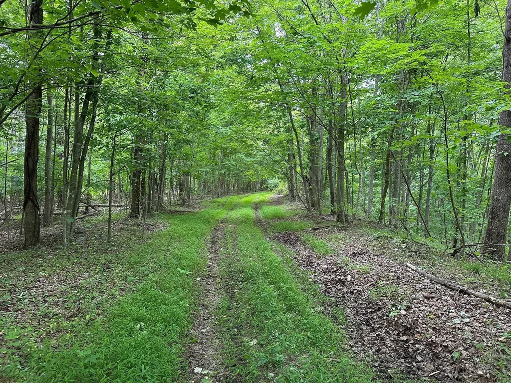 150 Sycamore Creek Road Van Lear KY 41265