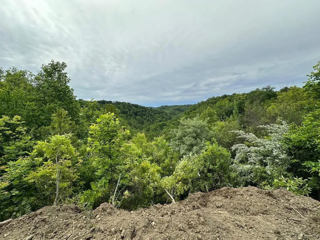 150 Sycamore Creek Road Van Lear KY 41265