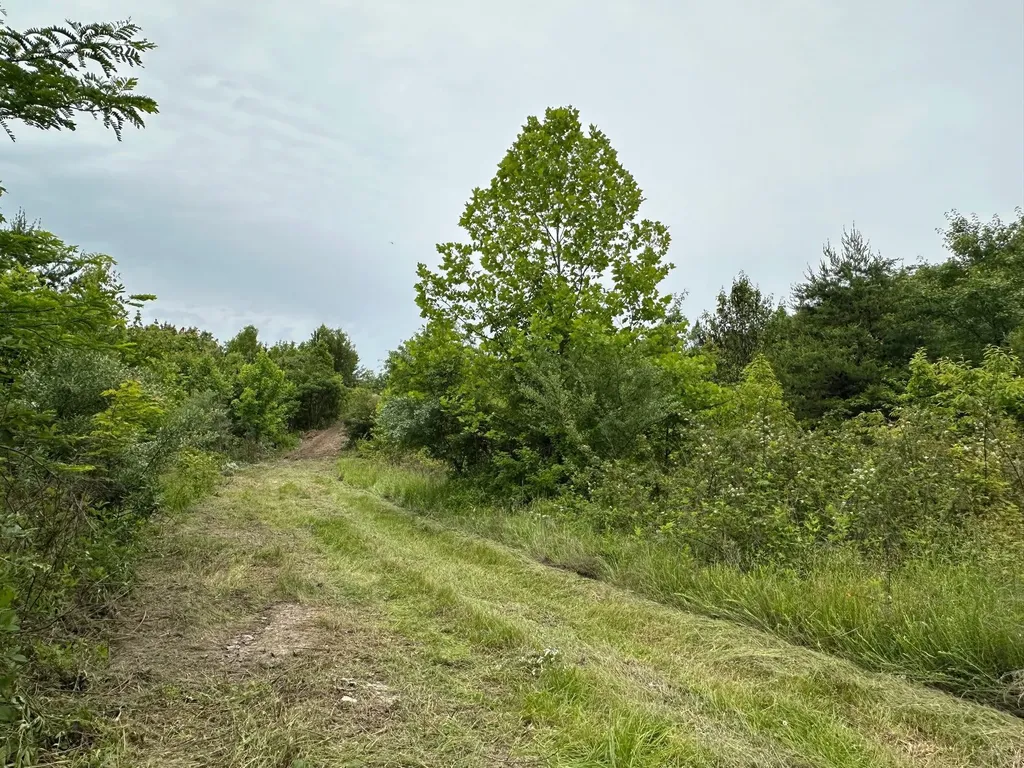 150 Sycamore Creek Road Van Lear KY 41265