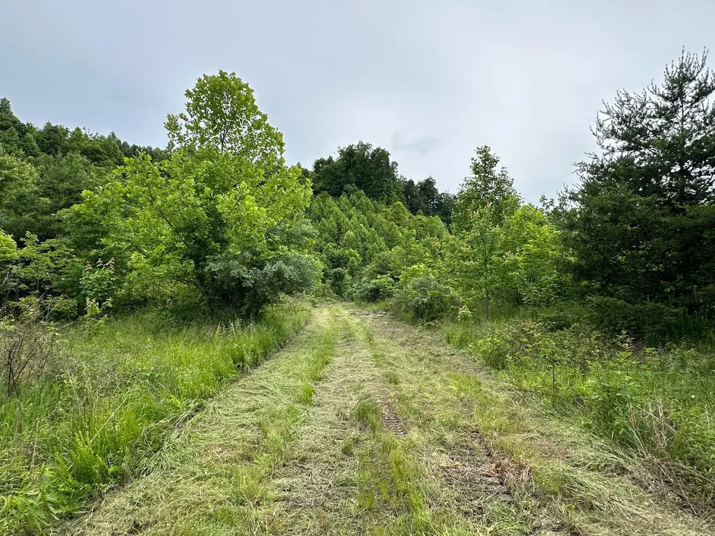 150 Sycamore Creek Road Van Lear KY 41265