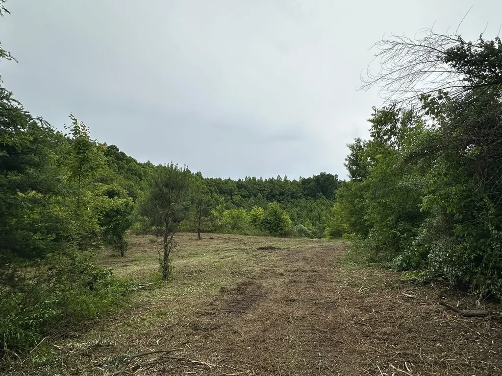 150 Sycamore Creek Road Van Lear KY 41265