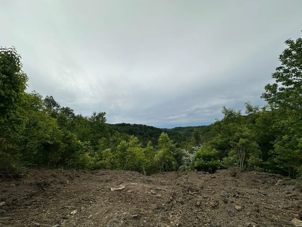 150 Sycamore Creek Road Van Lear KY 41265