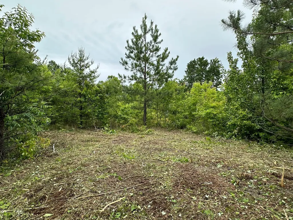 150 Sycamore Creek Road Van Lear KY 41265