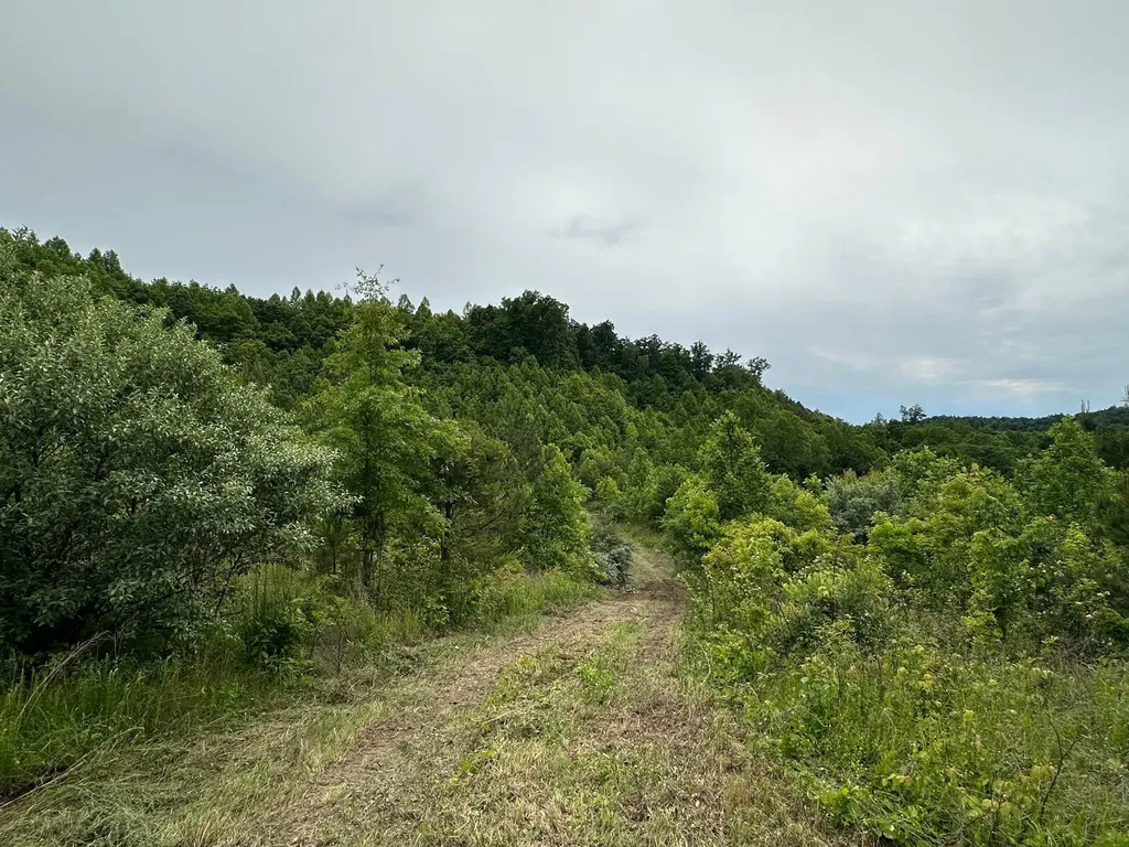 150 Sycamore Creek Road Van Lear KY 41265