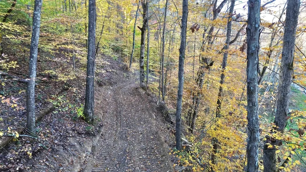 150 Sycamore Creek Road Van Lear KY 41265