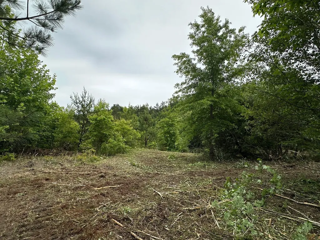 150 Sycamore Creek Road Van Lear KY 41265