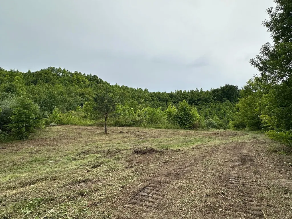 150 Sycamore Creek Road Van Lear KY 41265